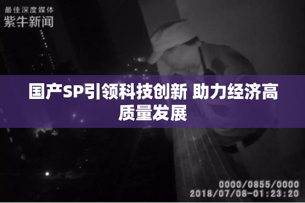 国产SP引领科技创新 助力经济高质量发展
