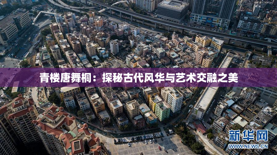 青楼唐舞桐：探秘古代风华与艺术交融之美