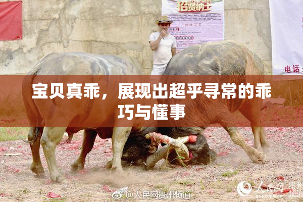 宝贝真乖，展现出超乎寻常的乖巧与懂事
