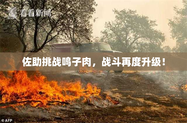 佐助挑战鸣子肉，战斗再度升级！