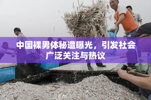 中国裸男体秘遭曝光，引发社会广泛关注与热议