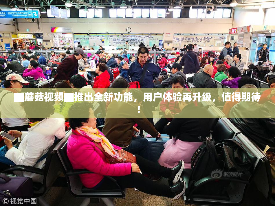 ▇蘑菇视频▇推出全新功能，用户体验再升级，值得期待！