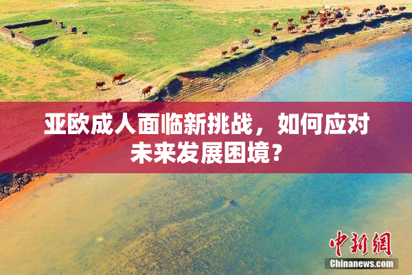 亚欧成人面临新挑战，如何应对未来发展困境？