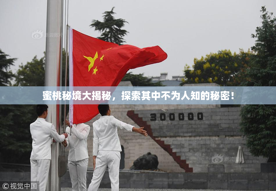 蜜桃秘境大揭秘，探索其中不为人知的秘密！