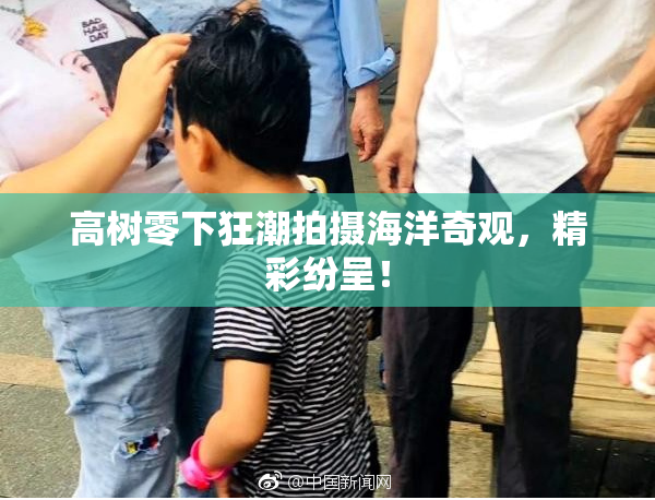 高树零下狂潮拍摄海洋奇观，精彩纷呈！