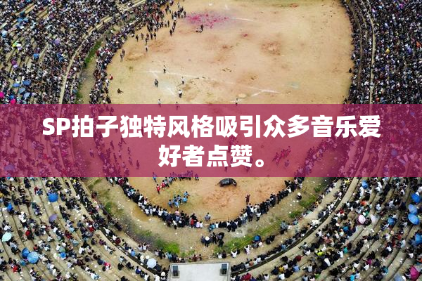 SP拍子独特风格吸引众多音乐爱好者点赞。
