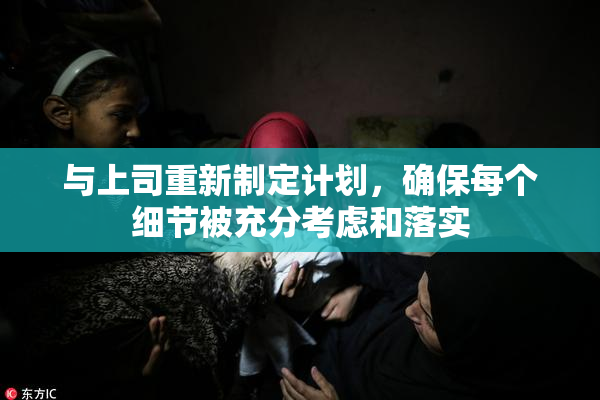 与上司重新制定计划，确保每个细节被充分考虑和落实