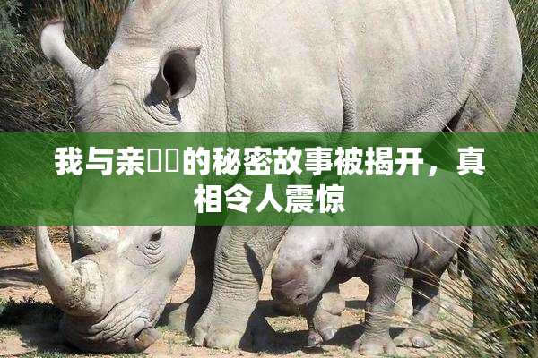 我与亲妺妺的秘密故事被揭开，真相令人震惊