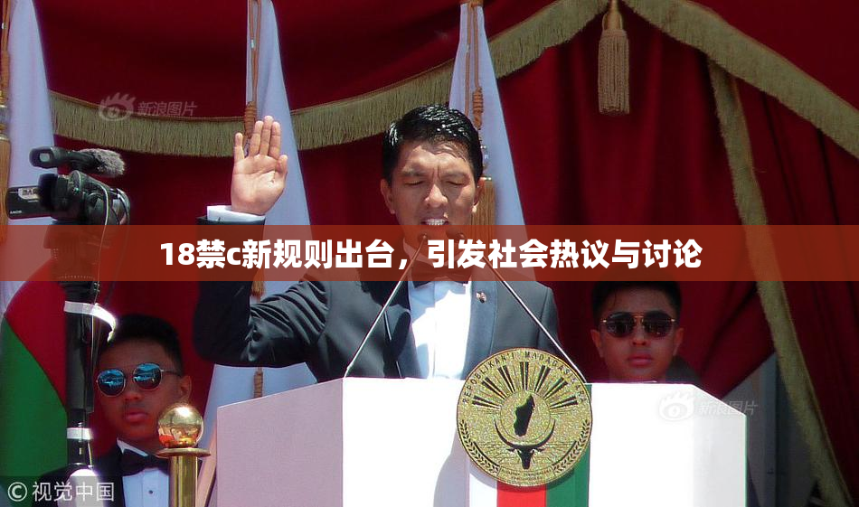 18禁c新规则出台，引发社会热议与讨论