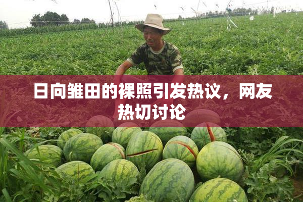 日向雏田的裸照引发热议，网友热切讨论