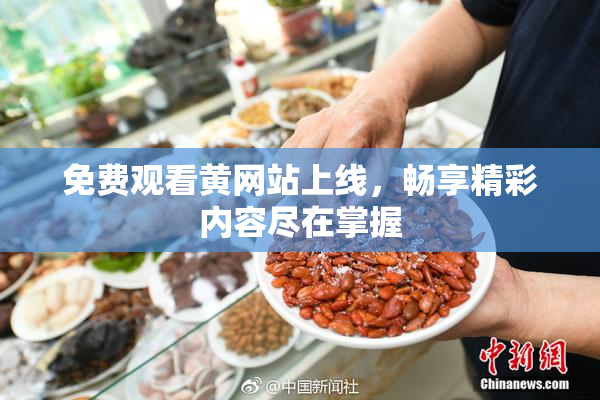 免费观看黄网站上线，畅享精彩内容尽在掌握