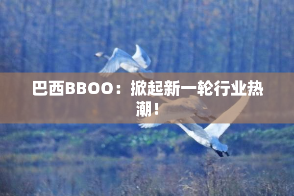 巴西BBOO：掀起新一轮行业热潮！