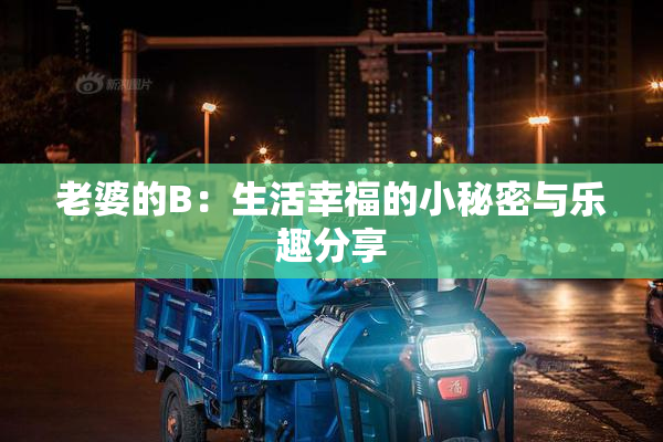 老婆的B：生活幸福的小秘密与乐趣分享