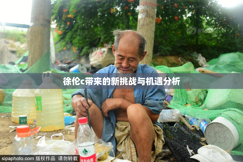 徐伦c带来的新挑战与机遇分析