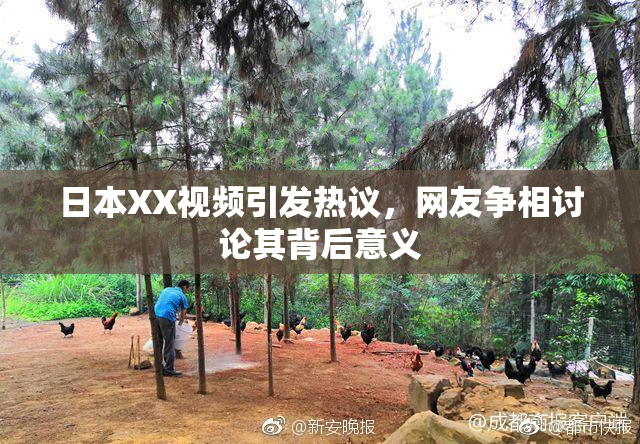 日本XX视频引发热议，网友争相讨论其背后意义