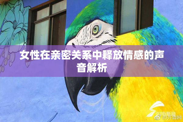 女性在亲密关系中释放情感的声音解析