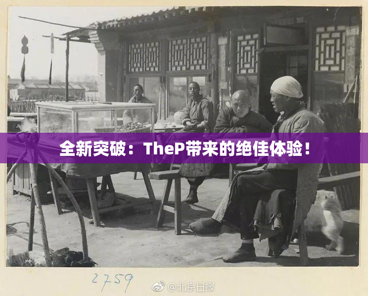 全新突破：TheP带来的绝佳体验！