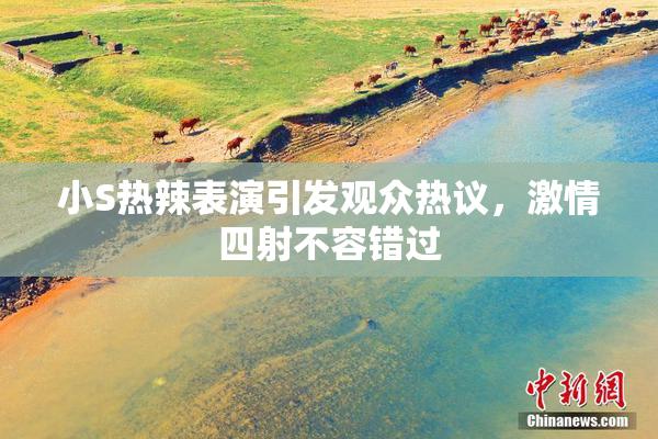 小S热辣表演引发观众热议，激情四射不容错过