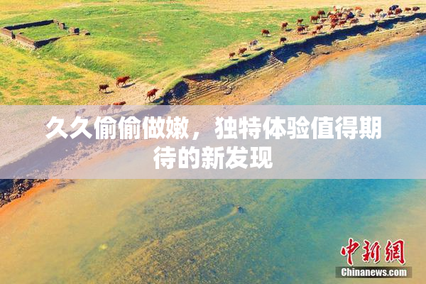 久久偷偷做嫩，独特体验值得期待的新发现