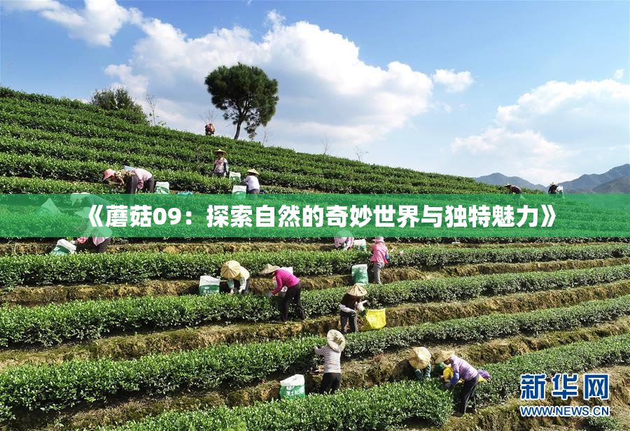 《蘑菇09：探索自然的奇妙世界与独特魅力》