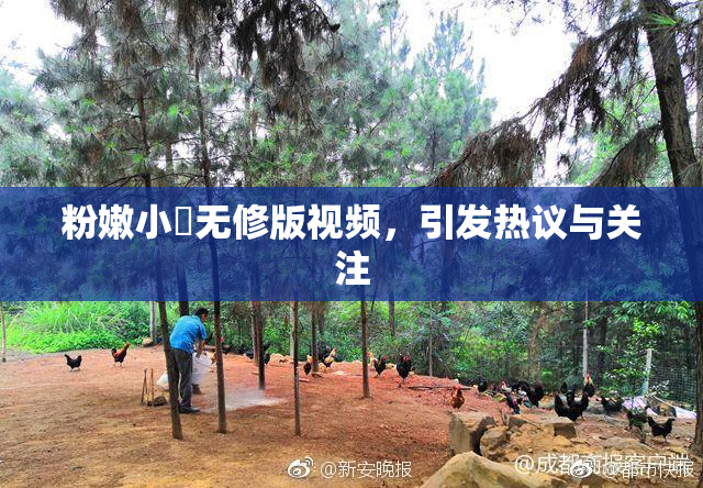 粉嫩小泬无修版视频，引发热议与关注