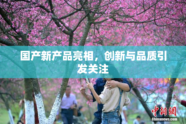国产新产品亮相，创新与品质引发关注
