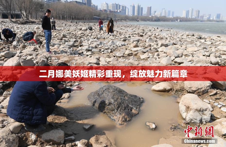 二月娜美妖姬精彩重现，绽放魅力新篇章
