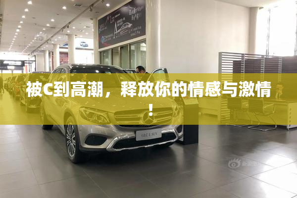 被C到高潮，释放你的情感与激情！