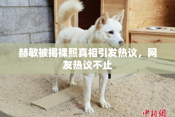 赫敏被揭裸照真相引发热议，网友热议不止