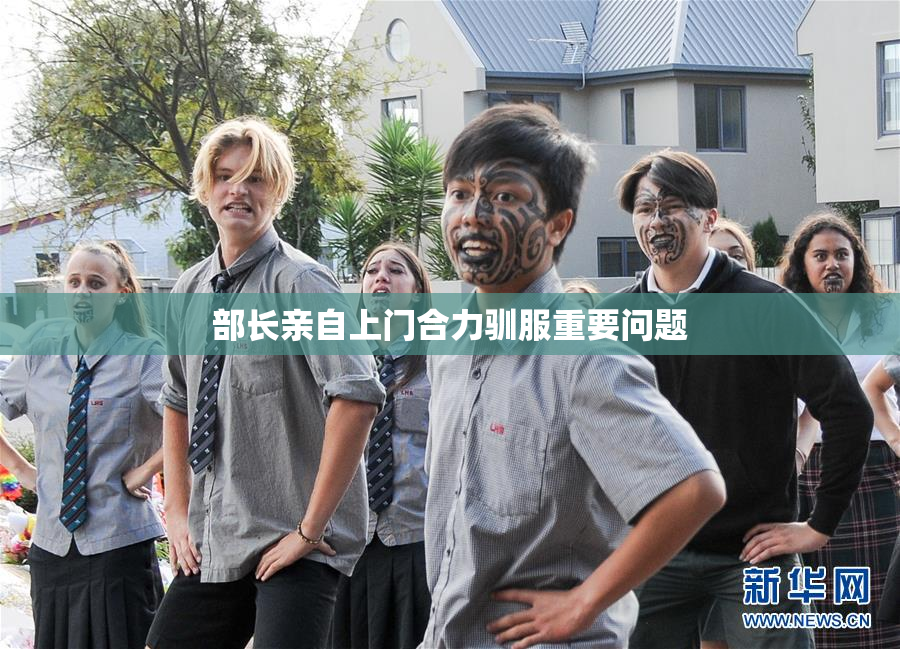 部长亲自上门合力驯服重要问题