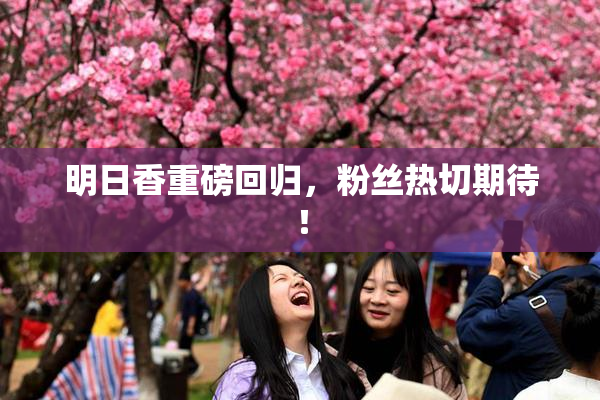 明日香重磅回归，粉丝热切期待！