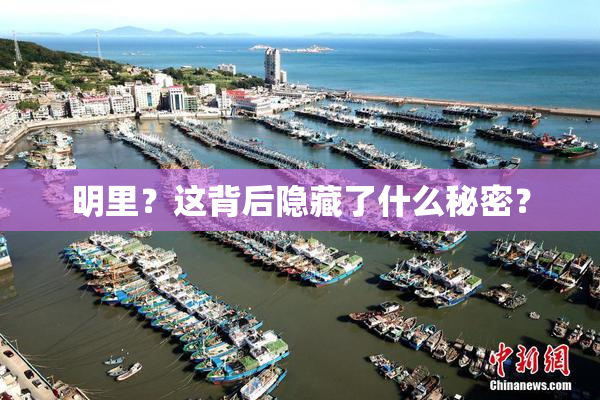 明里？这背后隐藏了什么秘密？