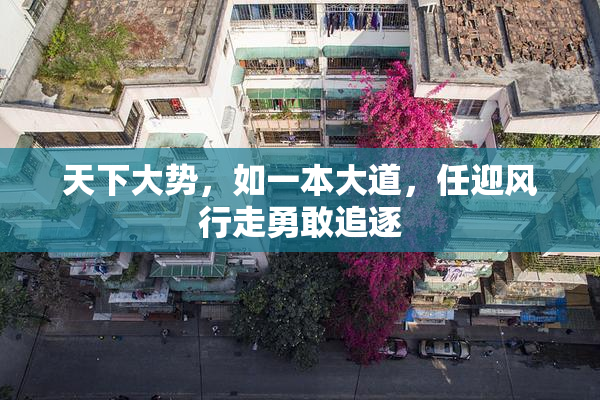 天下大势，如一本大道，任迎风行走勇敢追逐