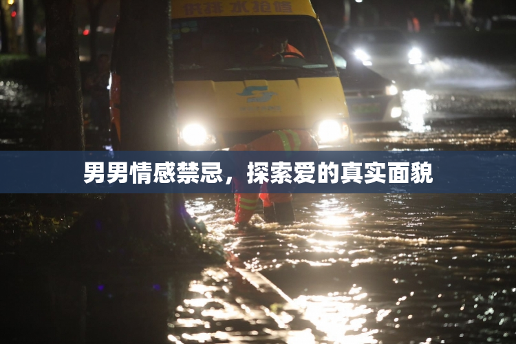 男男情感禁忌，探索爱的真实面貌