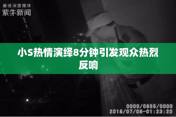小S热情演绎8分钟引发观众热烈反响