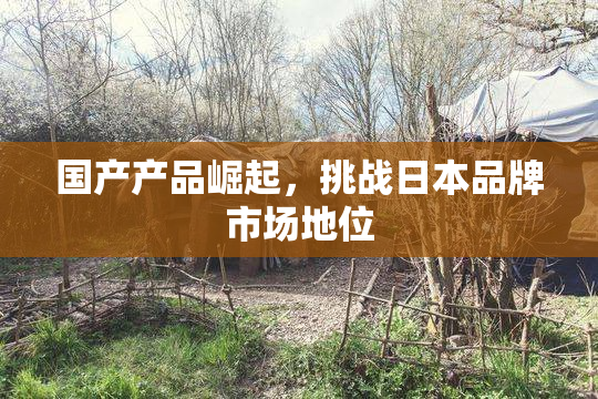 国产产品崛起，挑战日本品牌市场地位