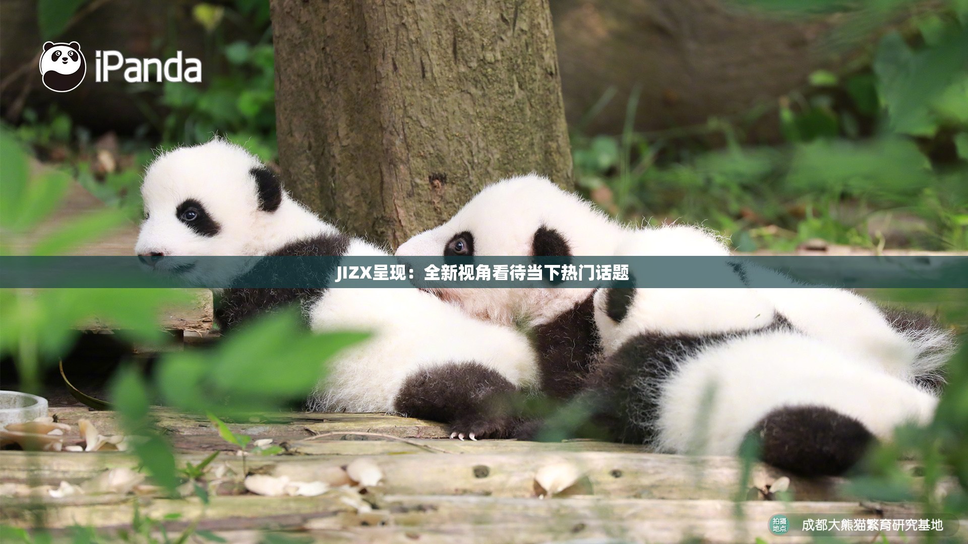 JIZX呈现：全新视角看待当下热门话题
