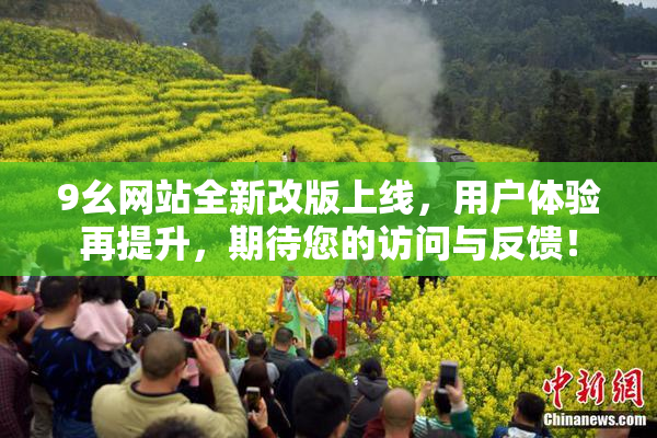 9幺网站全新改版上线，用户体验再提升，期待您的访问与反馈！