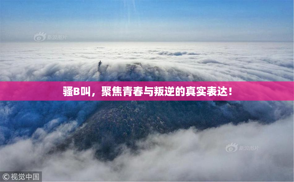 骚B叫，聚焦青春与叛逆的真实表达！