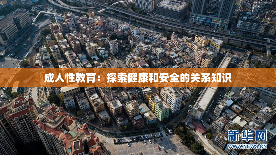 成人性教育：探索健康和安全的关系知识