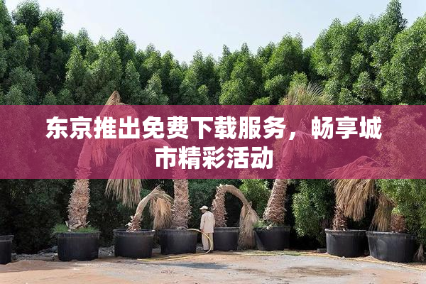 东京推出免费下载服务，畅享城市精彩活动