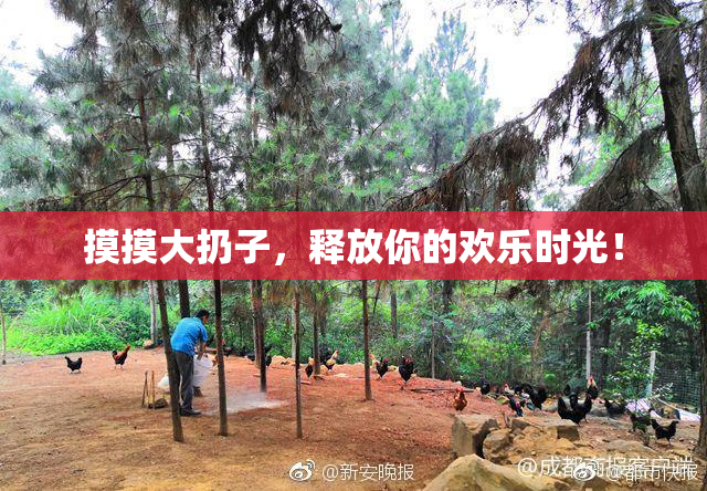摸摸大扔子，释放你的欢乐时光！