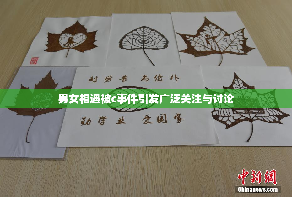 男女相遇被c事件引发广泛关注与讨论