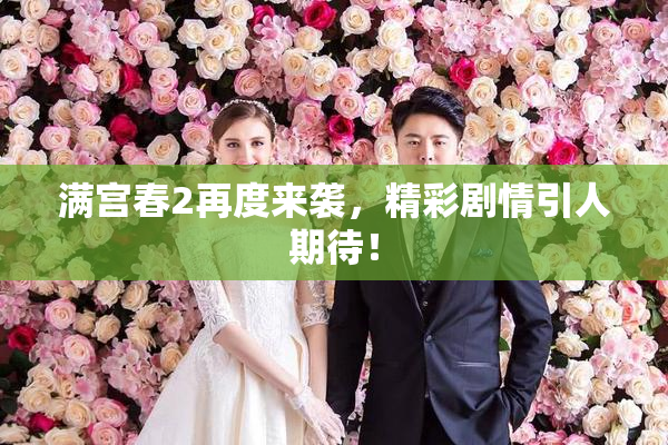 满宫春2再度来袭，精彩剧情引人期待！