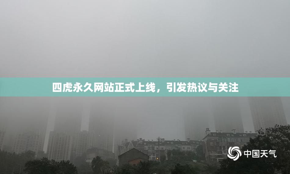 四虎永久网站正式上线，引发热议与关注