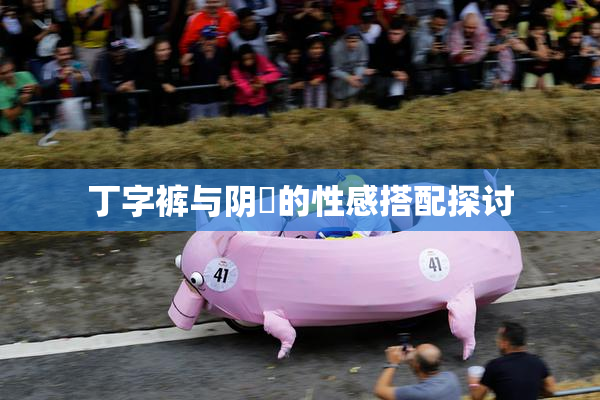 丁字裤与阴脣的性感搭配探讨