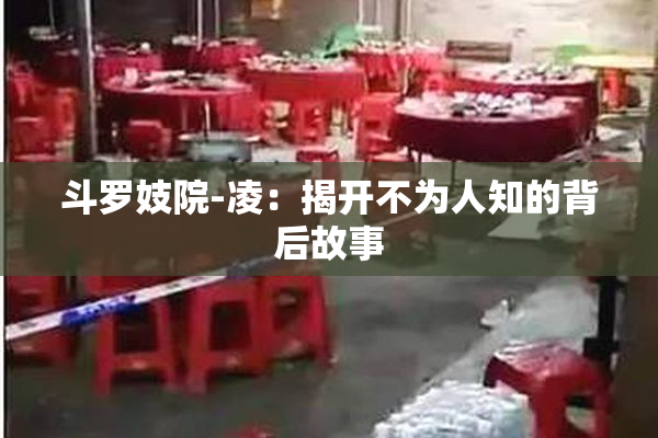 斗罗妓院-凌：揭开不为人知的背后故事