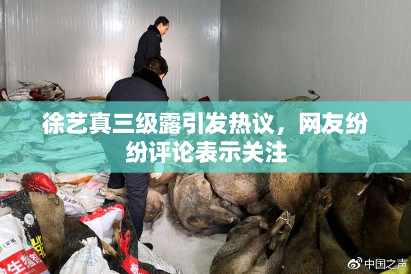 徐艺真三级露引发热议，网友纷纷评论表示关注