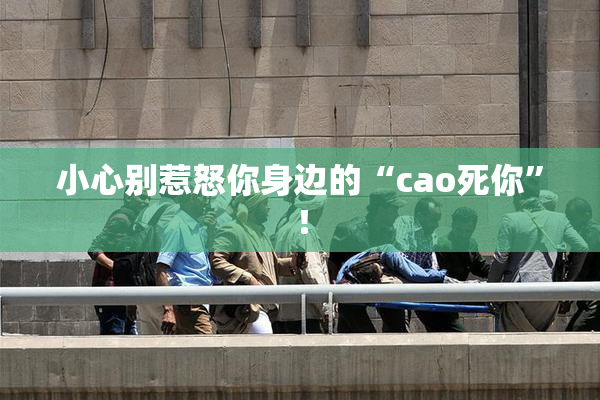 小心别惹怒你身边的“cao死你”！