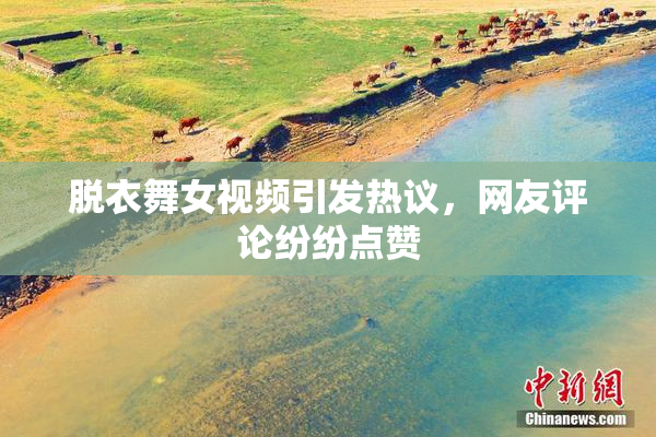 脱衣舞女视频引发热议，网友评论纷纷点赞